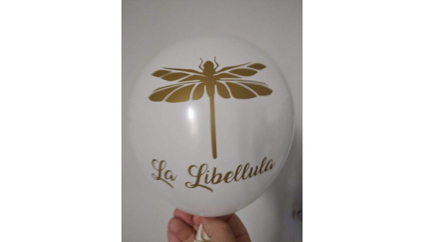 corso palloncini modellabili online  laboratorio libellula corsopalloncinimodellabilionli12.jpg