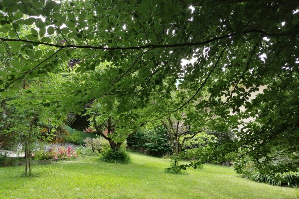 VERDE VALSASSINA -tra Lago di Como e Grigne verdevalsassinatralagodicomoeg-66d1c8add3ece.jpg