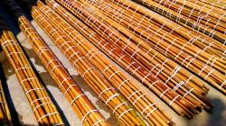 In vendita canne di bambù bambu con diametri da 1 a 10 cm. lunghezza da definire Invenditacannedibambbambucondiametrida1a10cmlunghezzadadefinire12.jpg