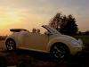 Affitto auto New Beetle Cabrio per matrimoni ed altri eventi 428815c.jpg