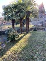 Affittasi appartamento in villa a Carona AffittasiappartamentoinvillaaCarona-624c0d117f526.jpg