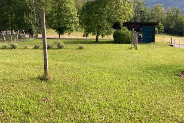 AFFITTO TERRENO AGRICOLO A DITTA DI GIARDINAGGIO PER DEPOSITO OUTDOOR DI PIANTE affittoterrenoagricoloadittadi.jpeg