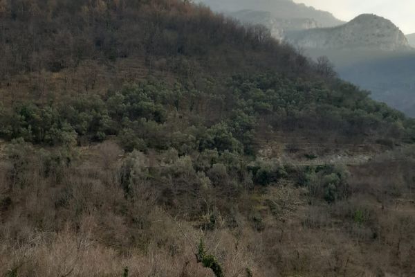 CASA EMMA - Vacanza in Liguria casaemmavacanzainliguria12345678.jpg