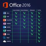Microsoft Office 2019 Professional Plus MicrosoftOffice2019ProfessionalPlus12345.jpg