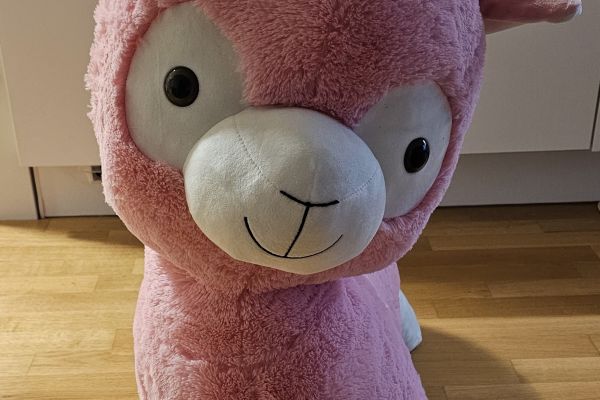 Peluche gigante peluchegigante12.jpg