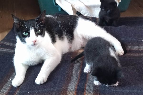MAMMA E CUCCIOLA mammaecucciola123.jpg
