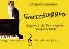 Pianoforte-lezioni private GattoSaggio 432620a.jpg