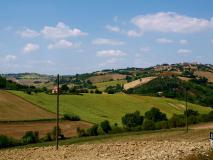 CASA NEL VERDE delle colline marchigiane CASANELVERDEdellecollinemarchigiane12.jpg