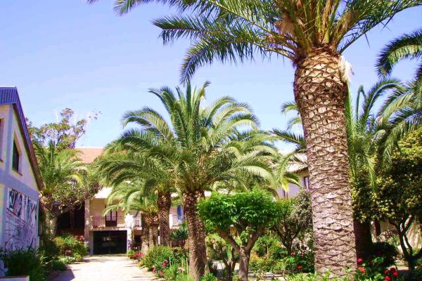 Vacanze in Sicilia, sul mare, in residence, ad Oliveri (Messina), Tindari mare. vacanzeinsiciliasulmareinresid12.jpg