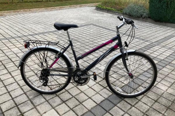 Bicicletta Pathfinder biciclettapathfinder.jpg