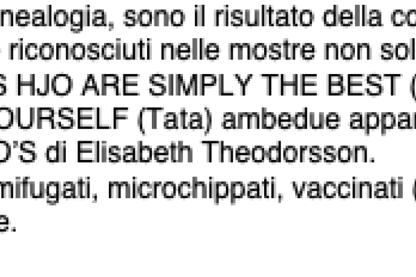 Eccezionale cucciolata di Cairn Terriers eccezionalecucciolatadicairnte.png