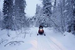 guida Snöskoter Nord Svezia / bimbi e adulti guidaSnskoterNordSveziabimbieadulti-5e3e4fcd77f38.jpg