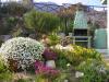 Bungalow con giardino roccioso 451359b.jpg