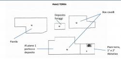 Cavalli - Colture Biologiche e Altro ancora CavalliColtureBiologicheeAltroancora12345.jpg