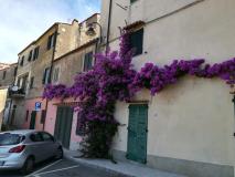 isola d'Elba Capoliveri bilocale nido isoladElbaCapoliveribilocalenido12.jpg