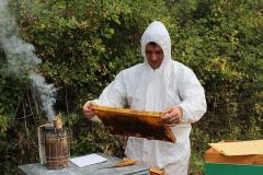 Cerco lavoro come apicoltore Cercolavorocomeapicoltore123.jpg