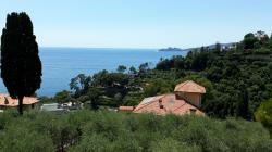 Stupenda vista bilocale a Zoagli in zona residenziale silenziosa e verde StupendavistabilocaleaZoagliinzonaresidenzialesilenziosaeverde12345.jpg