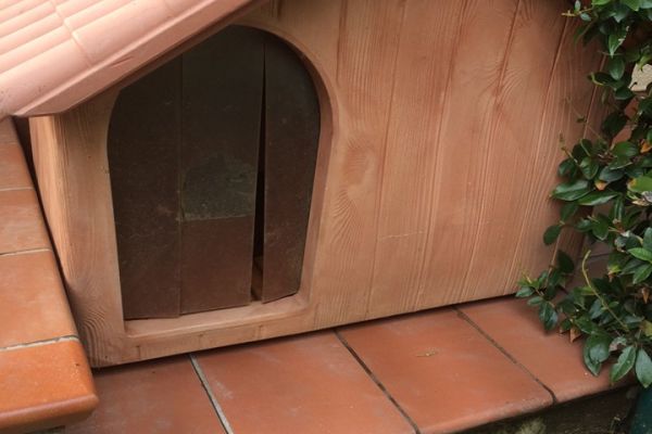 Cuccia termica per cani taglia media piccola Cucciatermicapercanitagliamediapiccola12.jpg