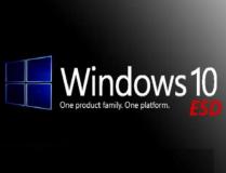 Microsoft Windows 10 Professional MicrosoftWindows10Professional1.jpg