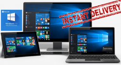 Microsoft Windows 10 Professional MicrosoftWindows10Professional1.png