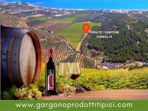 I Vini del Gargano | Tenute Cantine Cimaglia Vieste IVinidelGarganoTenuteCantineCimagliaVieste.jpg