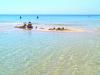 PUGLIA: la vacanza dei sogni a solo 150 metri dal mare del SALENTO 451371j.jpg