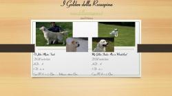 Cuccioli di Golden Retriever CucciolidiGoldenRetriever123.jpg