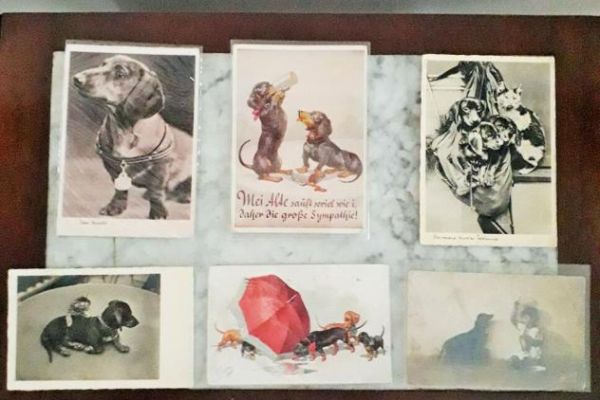 Mini collezione Cani Bassotti cartoline d'epoca n°6 di cui n° 5 spedi minicollezionecanibassotticart1.jpg