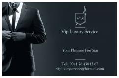 Vip Luxury Service Autista-599722af875c6.jpg
