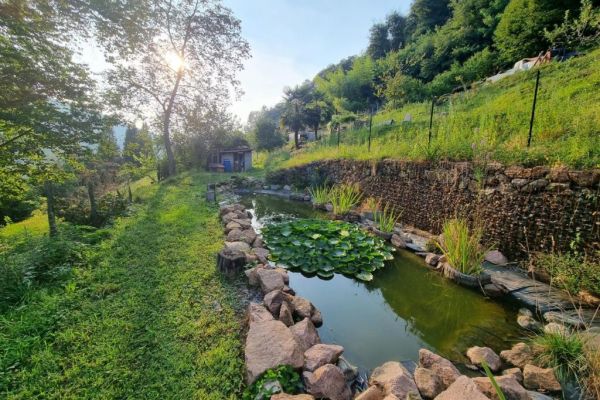 Vendesi grande casa immersa nel verde a Ponte Cremenaga – Monteggio, frazione di vendesigrandecasaimmersanelver123456.jpg