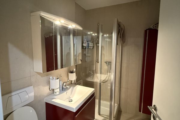 Appartamento 2.5 con terrazza, piscina, spa e palestra appartamento25conspapiscinaepa-68754f28be6d7.jpeg
