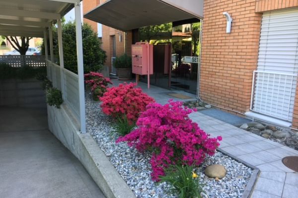 Affitto appartamento a Losone affittoappartamentoalosone12.jpeg