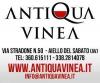 PROMOTORI SETTORE VINO 410844a.jpg