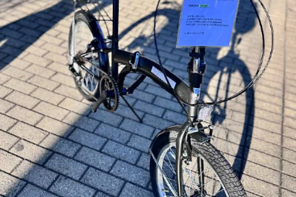BICICLETTA RECORD MUSCOLARE PIEGHEVOLE biciclettarecordmuscolarepiegh.png
