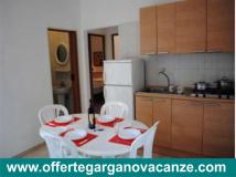 OFFERTE LUGLIO 2019  - VILLAGGIO VIESTE MARINA OFFERTELUGLIO2019VILLAGGIOVIESTEMARINA1234.jpg