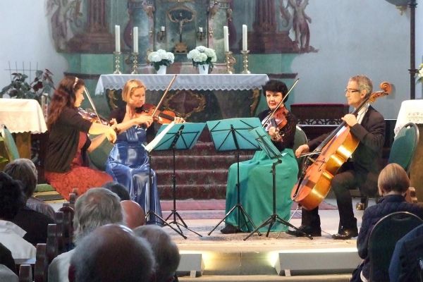 violinista musica violinistamusica-63e79d6e4db46.jpeg
