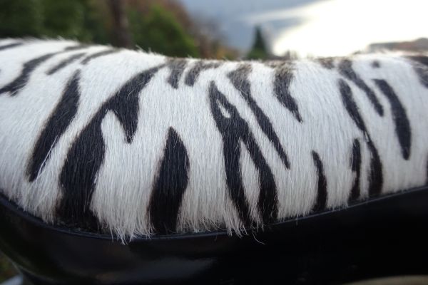 Yves Saint Laurent ORIGINALI e NUOVI! scarpe in pelle con pelliccia naturale! n. yvessaintlaurentoriginalienuov-67fc127c1aba2.jpg