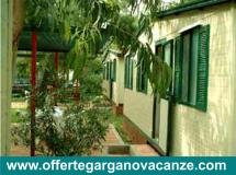 VACANZE LOW COST A VIESTE DEL GARGANO VACANZELOWCOSTAVIESTEDELGARGANO123.jpg