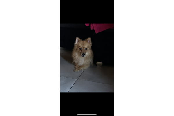 Fabio fabio-65cb27fec7a0a.png