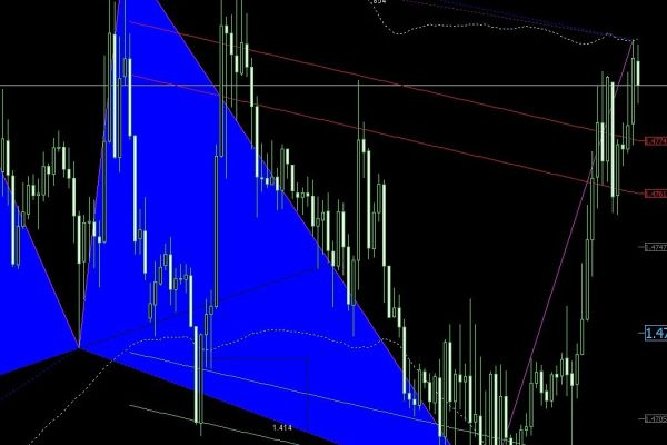 Trader professionista svolge Corsi di Trading traderprofessionistasvolgecors-659ad5368cf77.jpg