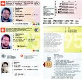 Autista con licenza di trasporti Autista1.jpg
