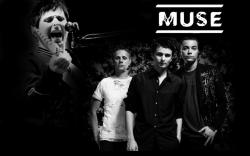 MUSE CONCERTO S. SIRO MILANO 12 e 13 LUGLIO 2019- V.Package MUSECONCERTOSSIROMILANO12e13LUGLIO2019-5cf4dcc10d80f.jpg