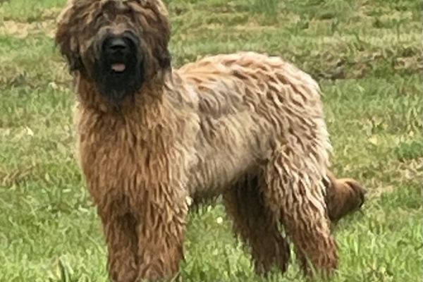 Cucciolona 9 mesi cucciolona9mesi1.jpeg