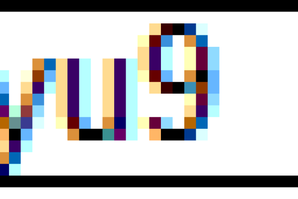 tendostruttura 20x40 tendostruttura20x40.png