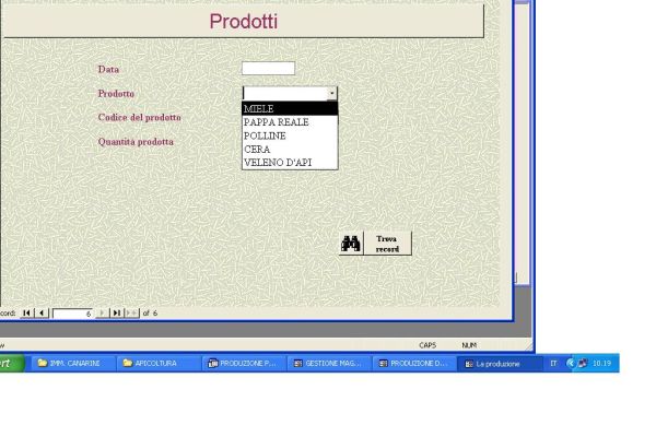 APICOLTURA SOFTWARE GESTIONALE SU PEN DRIVE O PER E-MAIL apicolturasoftwaregestionalesu1.jpg