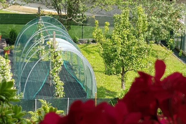 Privato Vende Appartamento in Palazzina bifamiliare Piemonte (TO)  Bella vista s privatovendeappartamentoinpala-67d2d2f46a43b.jpg