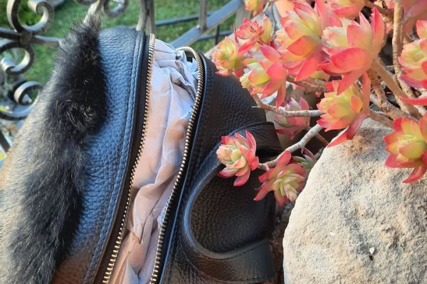 POLLINI leather backpack with natural fur (rabbit)  color black pollinileatherbackpackwithnatu-66f6e09f27f5f.jpg