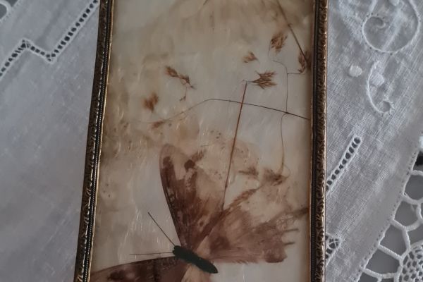 Curioso antico   piccolo  espositore piano    in  metallo  dorato con curiosoanticopiccoloespositore1.jpg