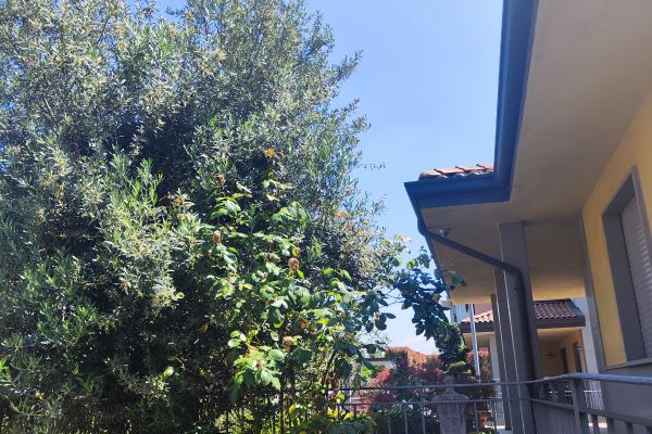 INTERA VILLA UNIFAMIGLIARE interavillaunifamigliare12345.jpg