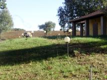 terreno agricolo con agriturismo terrenoagricoloconagriturismo1234.jpg